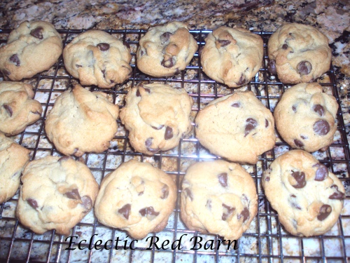 Chocolate Chip cookies cooling on wire rack
