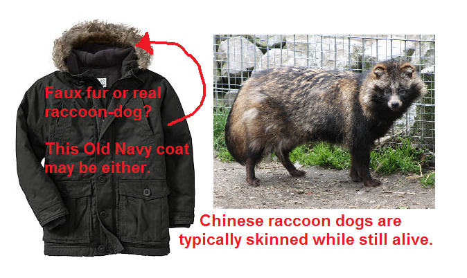 Burlington coat factory dog fur Clearance