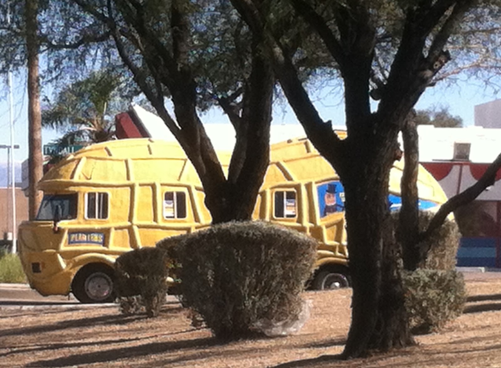 Tucson Daily Photo Tucson's Nutty Drivers!