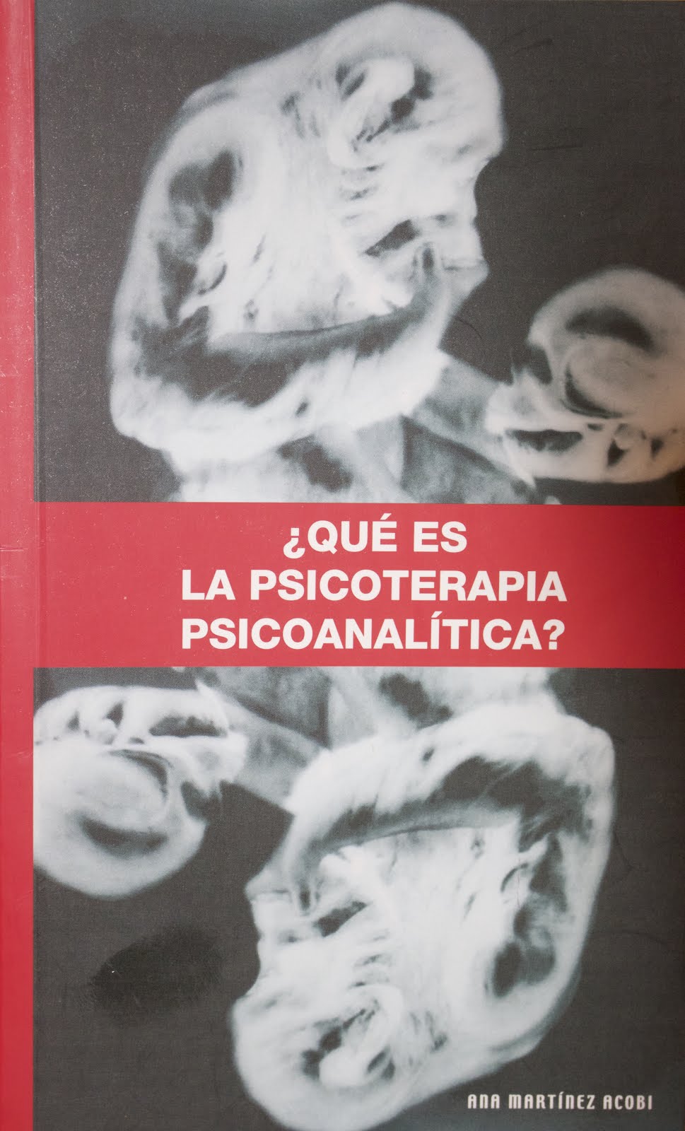 Ana Martínez Acobi´s Book