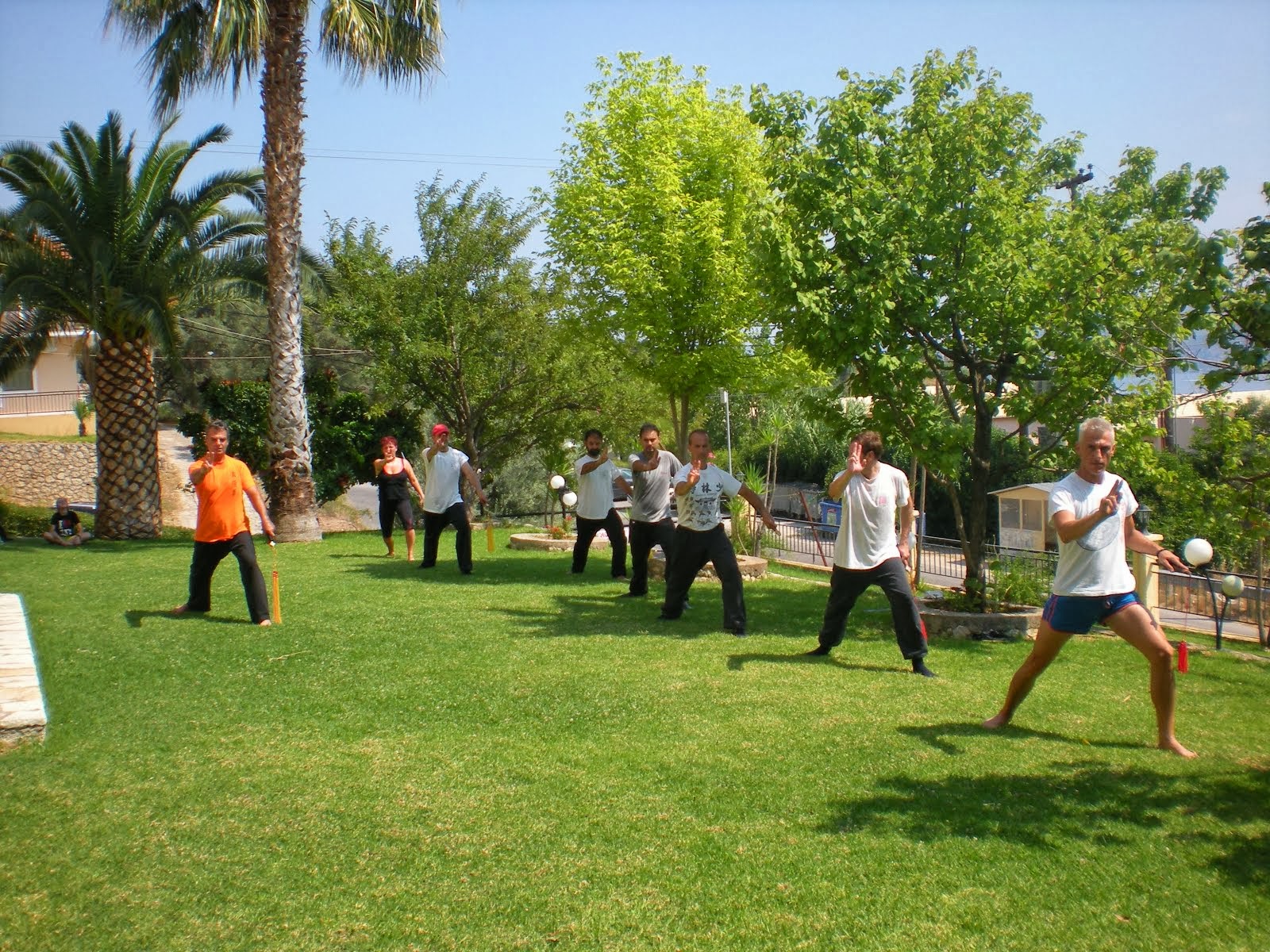 Lefkada Island Sword Seminar Summer 2013