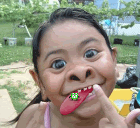 funny videos for you funny clips kill your stress