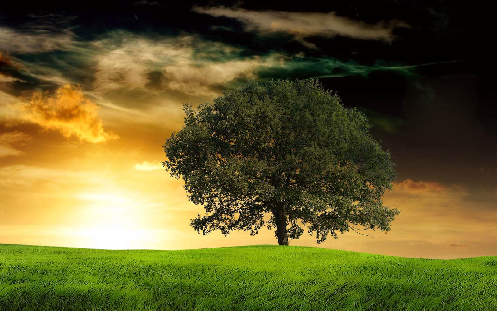Wallpaper Evening Wallpapers