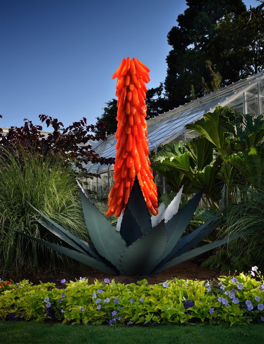 07-Jason-Gamrath-Giant-Glass-Orchids-and-other-Flowers-Sculptures-www-designstack-co