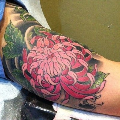 Tatuajes de crisantemos en el brazo