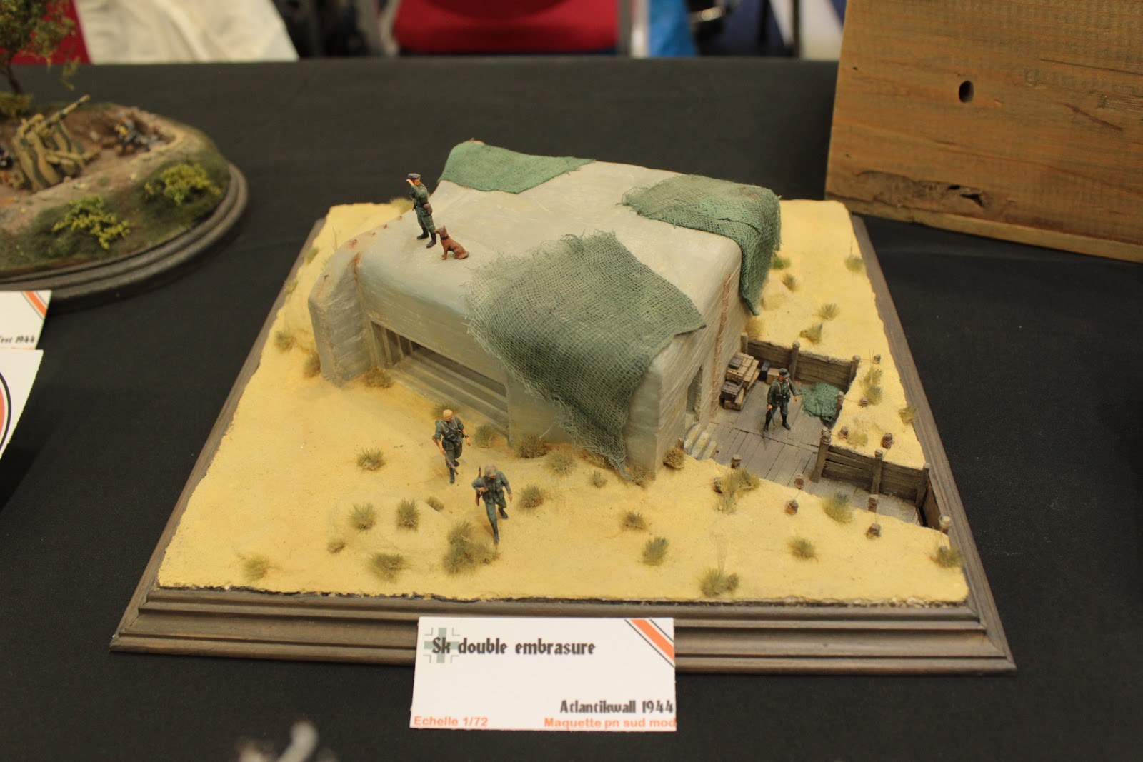 Maquettexpo 2017 14-15 octobre Hyères - Page 4 IMG_4215