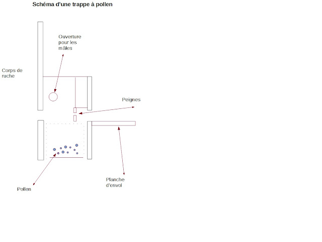 Dessin d'une trappe à pollen