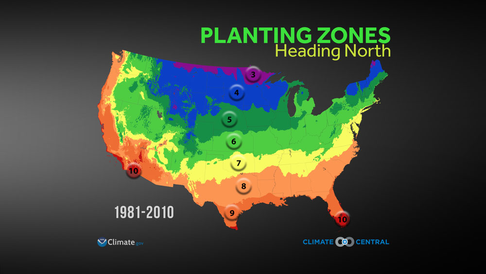 Rukavina's Extreme Weather and Climate Blog: Planting Zones Heading North