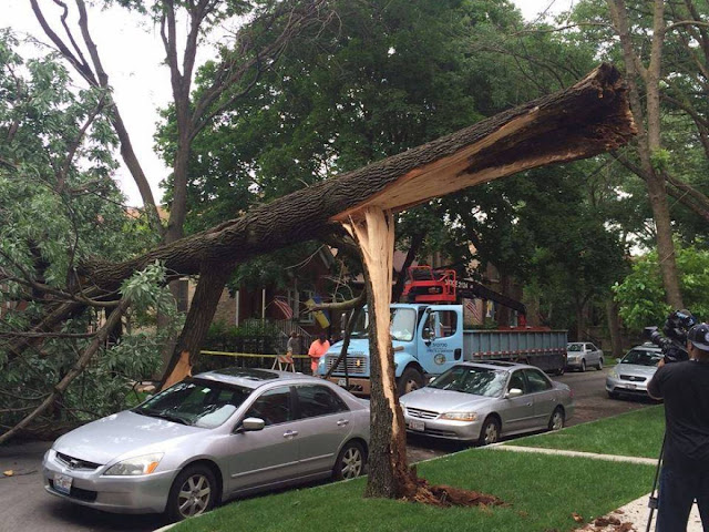 Luar Biasa! Inilah 10 Orang Yang Memiliki Keberuntungan Tingkat Tinggi Luar Biasa! Inilah 10 Orang Yang Memiliki Keberuntungan Tingkat Tinggi