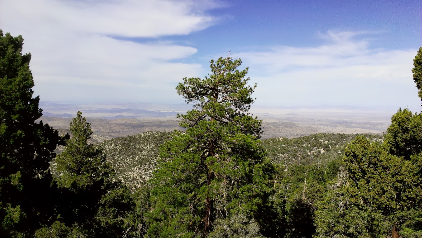 Review Hikes and Books Onyx Peak near Big Bear Lake
