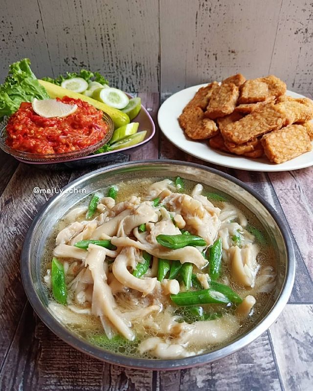 Resep Cara Masak Tumis Jamur Tiram Pedas Gurih Praktis dan Resep Cara Masak Tumis Jamur Tiram Pedas Gurih Praktis dan