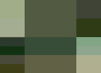 Cypress кипарис Палитра аналогичных (смежных) цветов Осень-зима 2014 Pantone модные популярные
