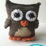 https://www.fairfieldworld.com/project/boxy-owl-crochet-pattern/