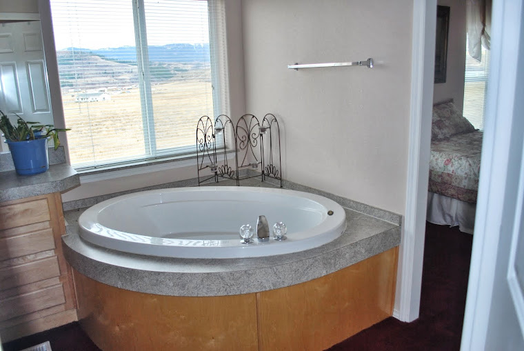 Master Bedroom soaking tub