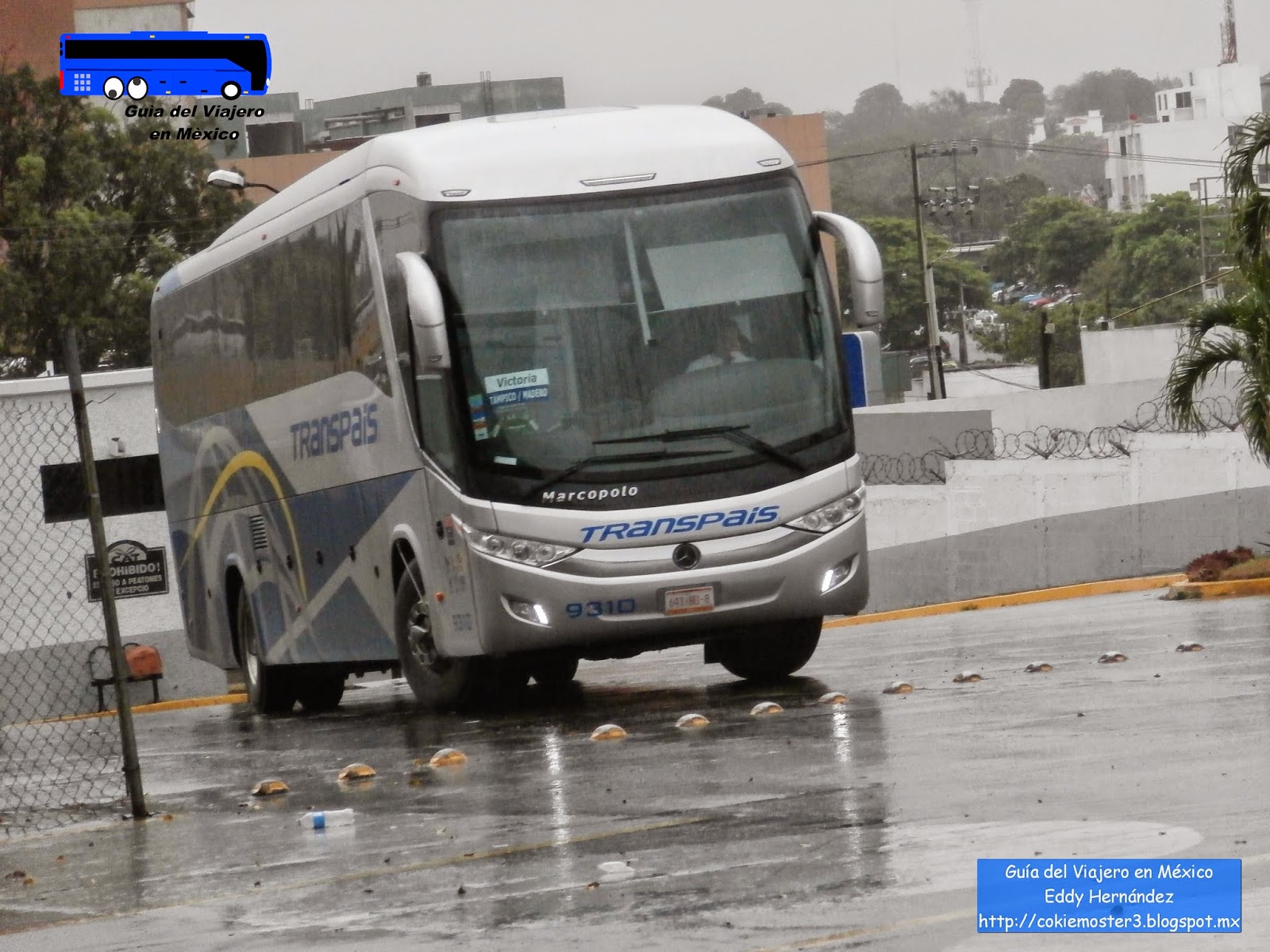 Guía del Viajero en México Autobuses de Primera Clase en México Guía del Viajero en México Autobuses de Primera Clase en México