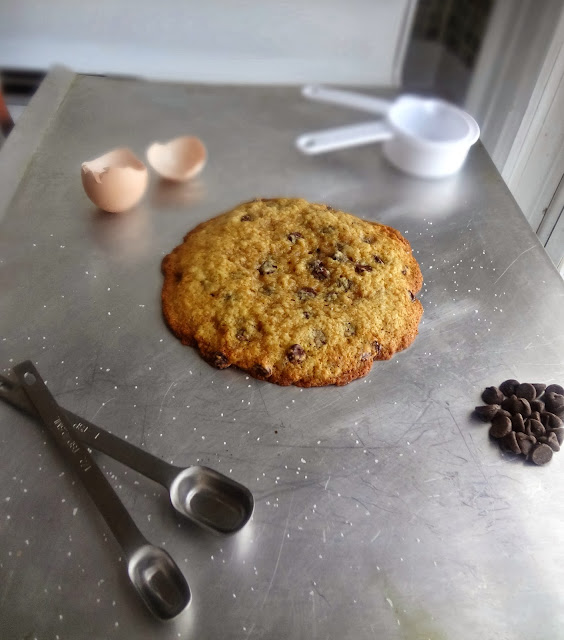XL Brown Butter Chocolate Chip Cookie