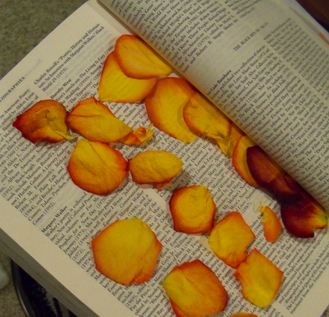 My Blog has moved to What Do You Do With Dead Roses?