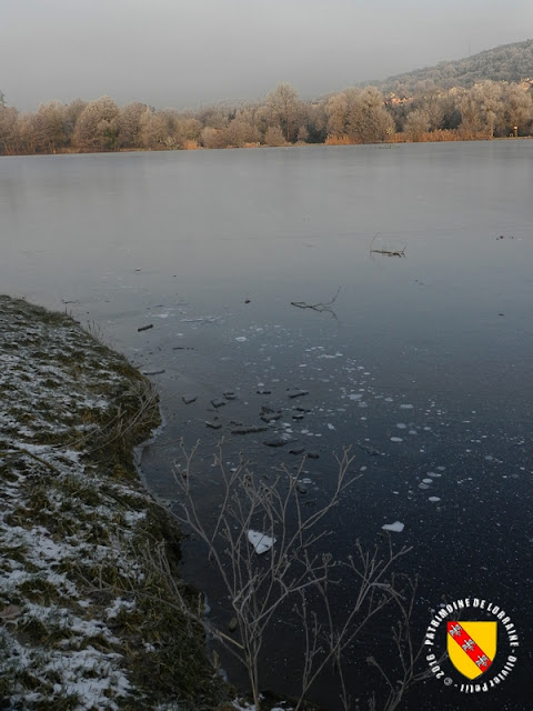 MESSEIN (54) - Les étangs saisis par le gel : l'étang Landru