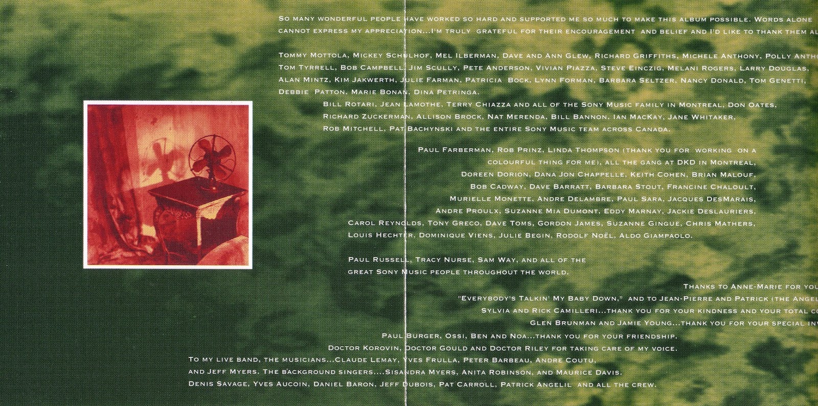 The Power Of Love - Celine Dion: Celine Dion : The Colour Of My Love 1993