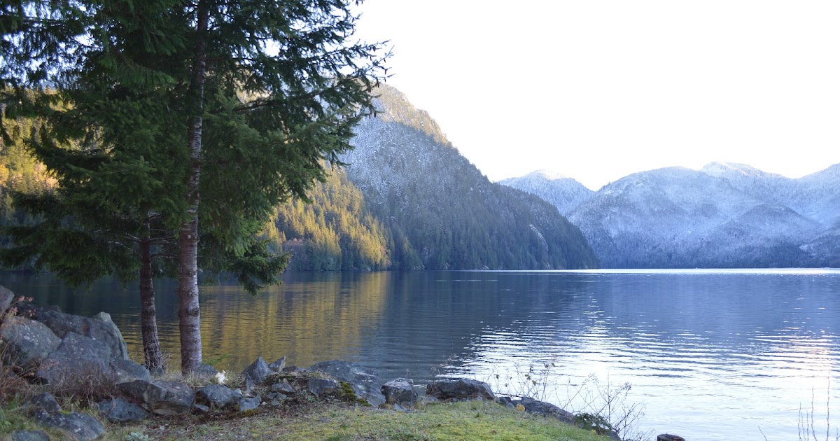 BC Oceanfront BCO Coastal Gems Zeballos