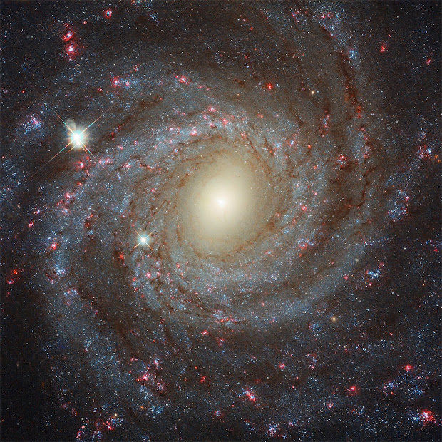 Barred Spiral Galaxy NGC 3344