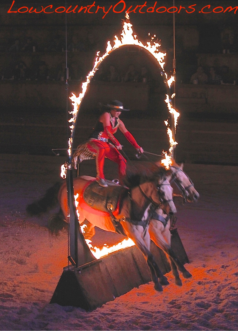 Lowcountry outdoors: Dixie Stampede Supper Show - Pigeon Forge