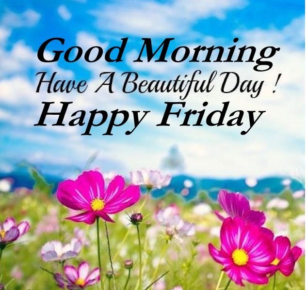 Images for WhatsApp: Good Morning Happy Friday