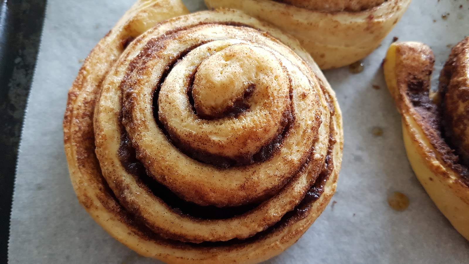 Cranberry Cinnamon Snails