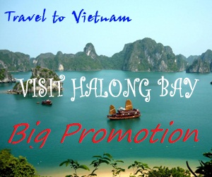 Halong Tours Booking, Halong bay tours