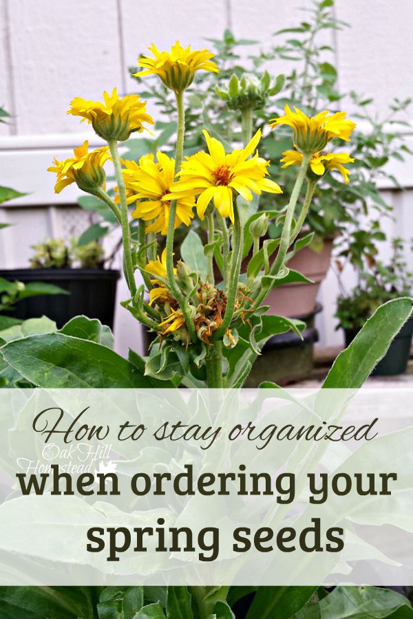 Ordering Spring Seeds Oak Hill Homestead