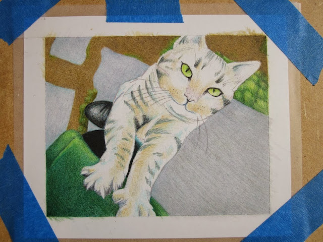 prismacolor cat drawing