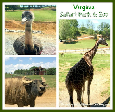 Virginia Safari Park & Zoo in Natural Bridge, Virginia