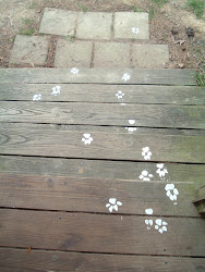 paw prints painted watercolor diana davis