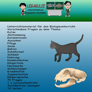 Katze Klassenarbeit Schulprobe PDF