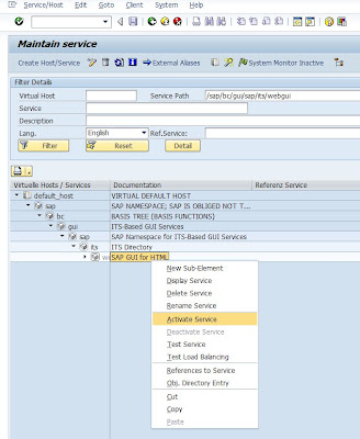 HOW TO SAP - Activate ITS for web browser access