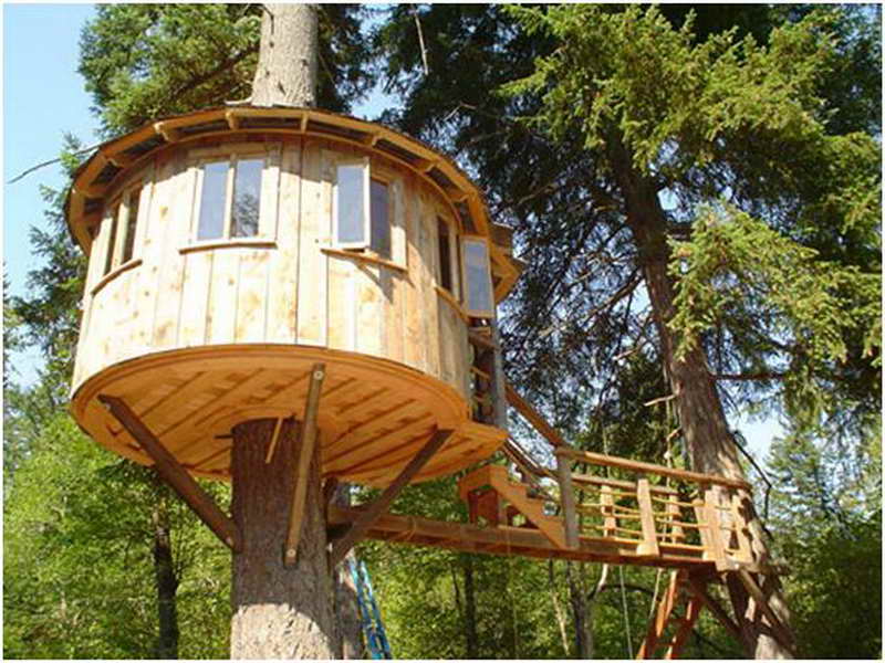 55 Contoh Desain Rumah Pohon  Unik dan Fantastis Rumahku 
