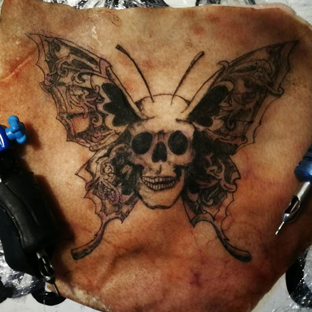 Gambar TATO Butterfly Kupu-Kupu Terkeren Dan Menarik Gambar TATO Butterfly Kupu-Kupu Terkeren Dan Menarik