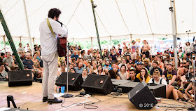 Destroyer at Hillside 2018 on July 14, 2018 Photo by John Ordean at One In Ten Words oneintenwords.com toronto indie alternative live music blog concert photography pictures photos