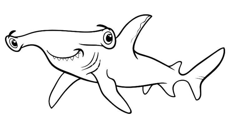 Gambar Animasi Hewan Ikan Hiu - Gambar Animasi Keren