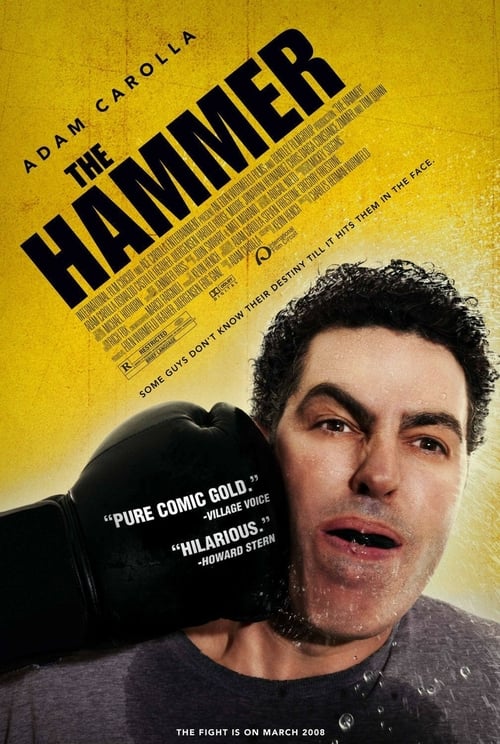 Descargar The Hammer 2007 Blu Ray Latino Online