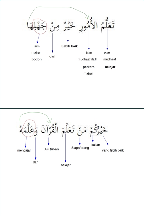 sharaf fi'il ta'allama - contoh kalimat dan artinya