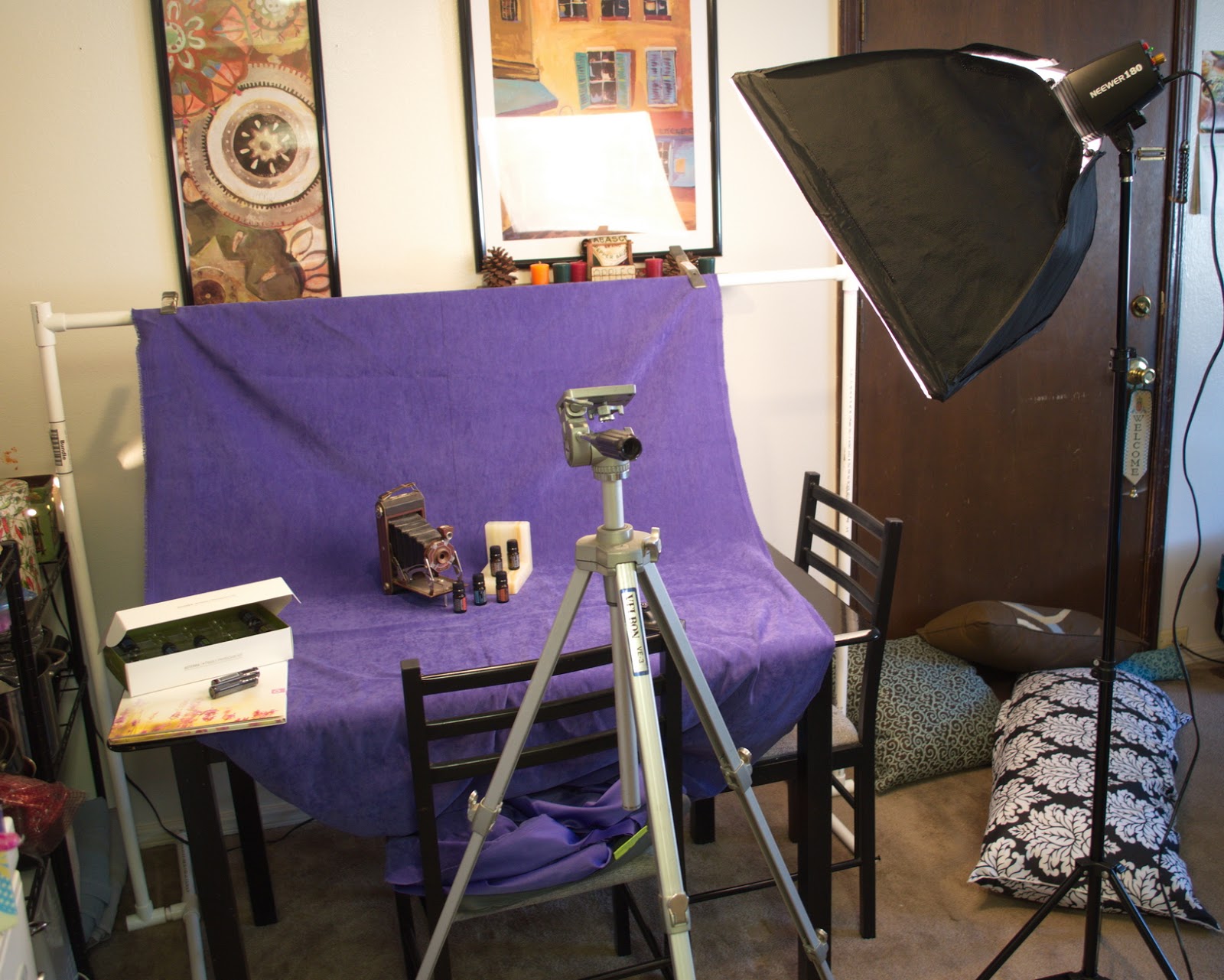 Steve's Fine Finish Portrait or Small Product Portable Studio on the Cheap