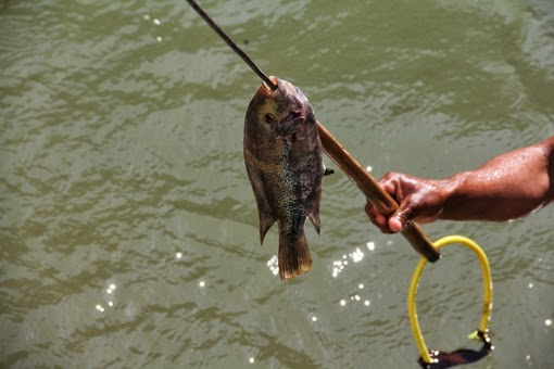 Artes de Pesca VAMOS A PESCAR VIEJA