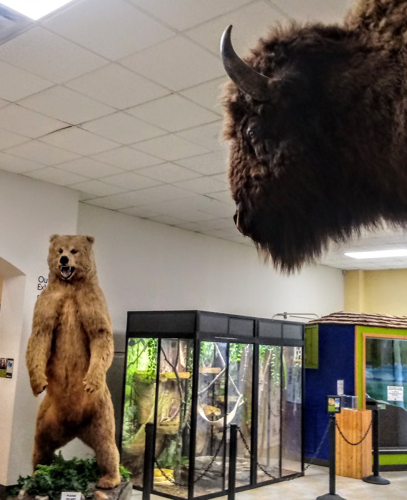 ,GOD's AWESOME ANIMALS 011215 3b) At the zoo in Duluth MN