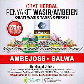 Obat Wasir Stadium 4 Alami