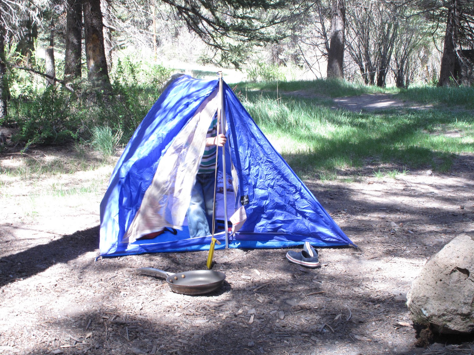 TMonkey Camping near Valles Caldera