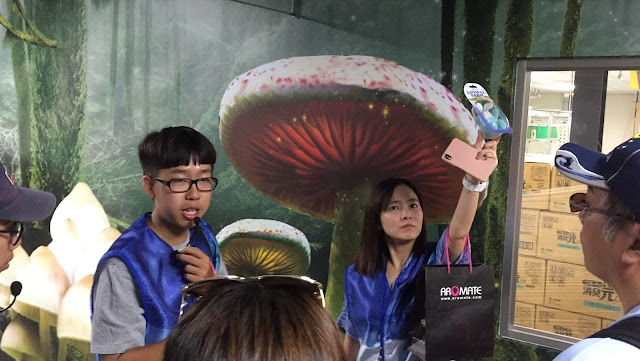 新北鶯歌。亞洛美精靈國度