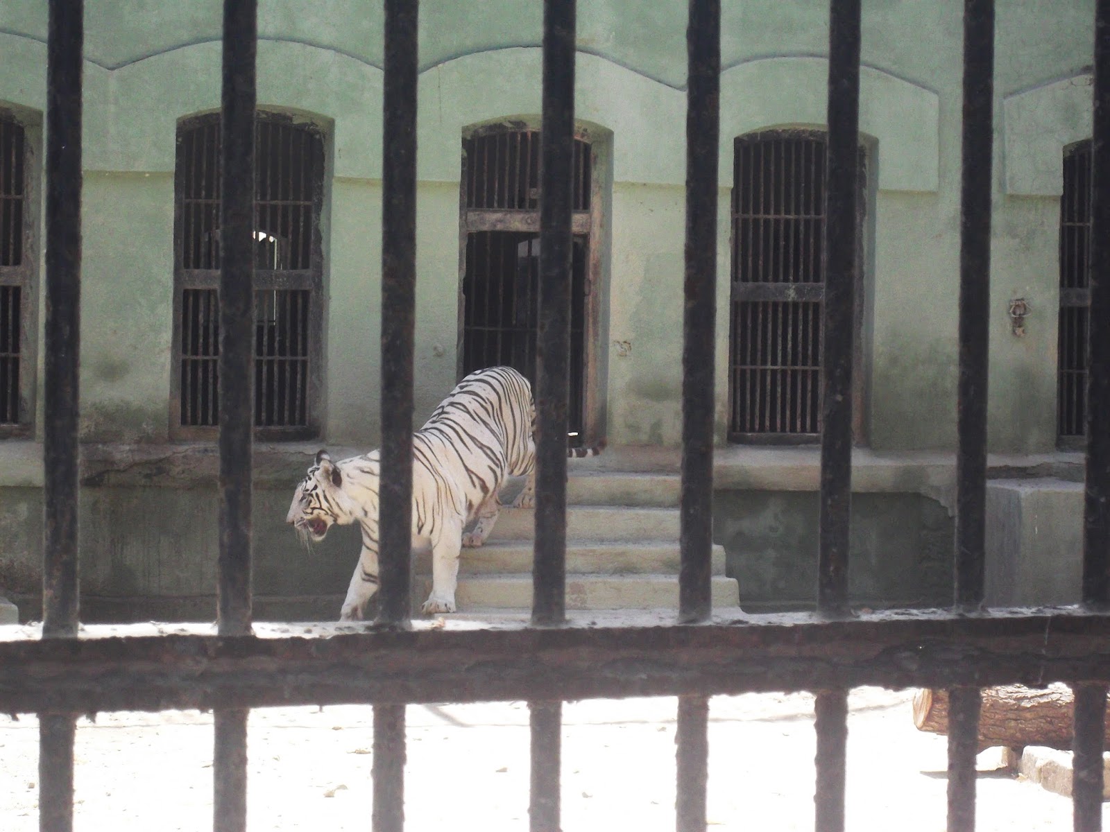 homeaway SAKKARBAUG ZOO JUNAGADH GUJARAT