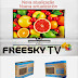 FREESKY TV HD: NOVA ATUALIZAÇÃO V4.07 - 01/07/2017