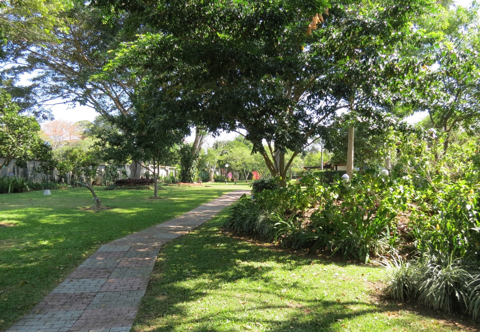 Hotel Bougainvillea, Santo Domingo de Heredia, Costa Rica Travels